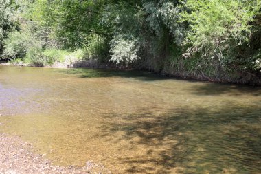 Sığ bir nehrin ılık suları yoğun yeşil ağaçların ve çalıların arasından yavaşça akar ve huzurlu bir yaz manzarası yaratır. Güneş ışığı gölgeliklerin arasından süzülür, kumlu zemine resim desenleri çizer, bu da huzur ve rahatlık hissi verir.