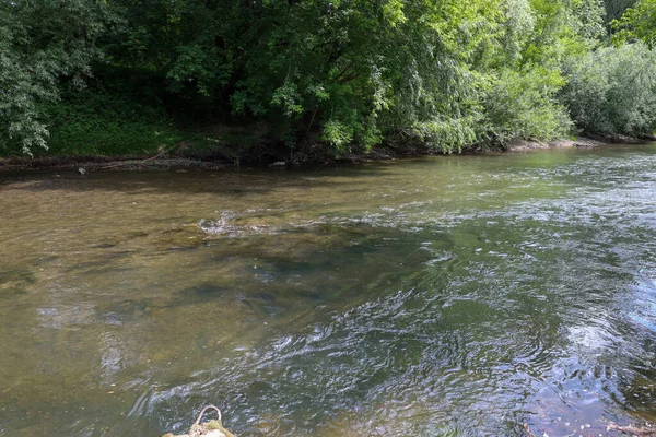 Berrak suların ağaçların ve çalıların yemyeşil olduğu bir nehir kıyısında huzurlu bir yaz günü. Güneş ışığı yaprakların arasından doğar ve suyun yüzeyinde gölgeler ve yansımalar yaratır..