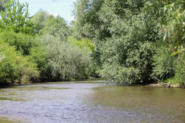 Yoğun yeşil ağaçlar ve çalılarla çevrili küçük bir nehrin akışı sakin ve huzurlu bir doğa hissi yaratır. Güneş ışığı suya yansıyarak hareketlerini vurgular ve yaz manzarasına bir parıltı ekler..