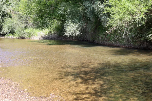 Sığ bir nehrin ılık suları yoğun yeşil ağaçların ve çalıların arasından yavaşça akar ve huzurlu bir yaz manzarası yaratır. Güneş ışığı gölgeliklerin arasından süzülür, kumlu zemine resim desenleri çizer, bu da huzur ve rahatlık hissi verir.