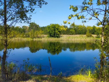 Parlak mavi gökyüzünü ve ağaçların yeşil taçlarını yansıtan huzurlu bir orman gölü. Suda hafif dalgalanmalar ve sararmış yapraklar bir sonbahar gününün başlangıcında uyum ve sükunet hissi yaratır..