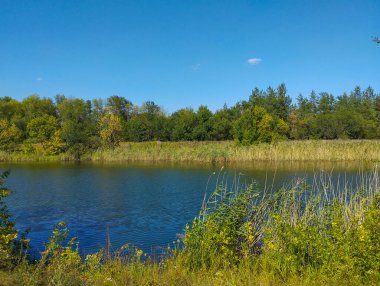 Gölün kıyısında parlak güneşli bir gün. Suyun kenarında yeşil ve sarı otlar yetişiyor. Berrak su, bulutsuz mavi gökyüzünü ve ormanı yansıtır. Huzur ve uyum hissi yaratır..