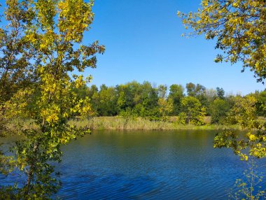 Sarı ve yeşil yapraklı ağaçlar tarafından çerçevelenmiş, ışık dalgaları olan berrak bir su yüzeyi. Bulutsuz mavi gökyüzü ve parlak güneş ışığı resme kaygısız bir sonbahar günü hissi veren sakin ve uyumlu bir atmosfer yaratır..