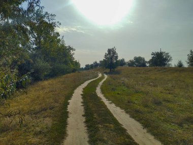 Parlak güneşin altında ağaçlarla çevrili kuru bir çayırda kıvrılan iki izli, huzurlu bir toprak yol. Görüntü, doğal ve açık bir arazide seyahat ve özgürlük hissi veriyor..