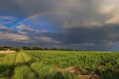 Muhteşem bir çift gökkuşağı yağmurdan sonra yeşil bir tarlanın üzerinde gökyüzünü kaplar. Arka planda, karanlık fırtına bulutları ve güneş ışığı kalıntıları görülebilir..