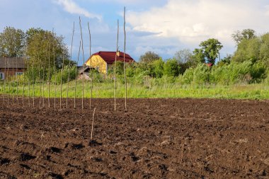 Yeşil bir tarlanın yanında renkli kır evleri ve kazıklı yeni sürülmüş bir bahçe. Görüntü, kırsal kesimde sakin bir yaz akşamını, çalışma ve doğal güzelliğin atmosferini yansıtıyor..