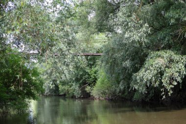 Karanlık suyu olan sakin bir nehir sık ağaçlar ve çalılar arasında yavaşça akar. Suyun üzerinde görünen eski bir metal köprü yeşilliğin içinde kayboluyor. Sıcak ama vahşi bir atmosfer yaratıyor..