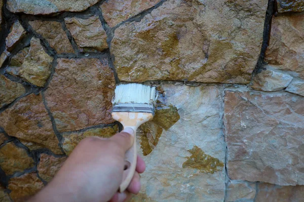 Bir el fırçayı tutar, taş bir duvara koruyucu bir solüsyon uygular, ıslak ve parlak bir görünüm verir. Bu taşın dokusunu ve doğal tonlarını vurgular..