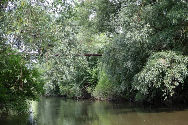 Karanlık suyu olan sakin bir nehir sık ağaçlar ve çalılar arasında yavaşça akar. Suyun üzerinde görünen eski bir metal köprü yeşilliğin içinde kayboluyor. Sıcak ama vahşi bir atmosfer yaratıyor..