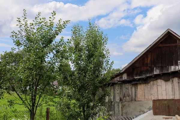 Ahşap duvarları ve yeşil ağaçların arkasından dışarı bakan sivri uçlu bir çatısı olan eski bir kırsal bina. Fotoğraf köyün otantik atmosferini aktarıyor, doğanın kucağında basit ama resimsel bir hayat sergiliyor..