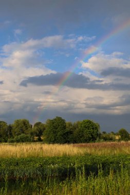 Ufuk çizgisine kadar uzanan yeşil tarlaların üzerinde parlak bir gökkuşağı olan güzel bir yaz sahnesi. Bu doğal köprü gökyüzünün bulutlu ve berrak kısımlarını birbirine bağlar ve inanılmaz bir kontrastlık yaratır..