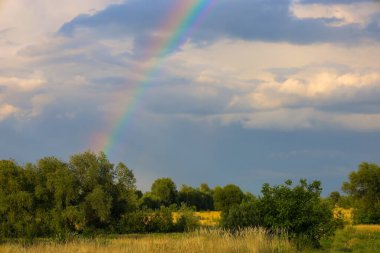Yağmurdan sonra inanılmaz doğal güzellik. Fırtına bulutlarının arka planında, parlak bir gökkuşağı parlar, gökyüzünü ve yeşil bir alanı birbirine bağlar, peri masalı bir atmosfer yaratır..
