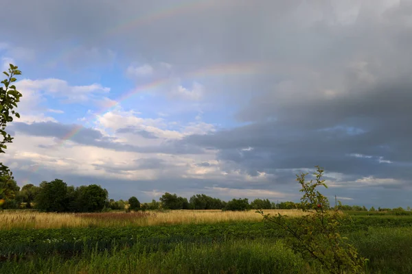 Ufukta altın ve yeşil renklerin buluştuğu bir alanın üzerinde iki gökkuşağı yayı. Bu nadir doğa olayı yağmurdan sonra inanılmaz, büyülü bir manzara yaratır..