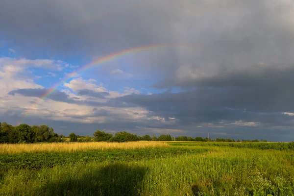 Bir gökkuşağının kırsal bir arazide kavis çizdiği çarpıcı bir yaz sahnesi. Bu renkli köprü mavi gökyüzünü ve fırtına bulutlarını birbirine bağlıyor ve yağmurdan sonra inanılmaz bir manzara yaratıyor..