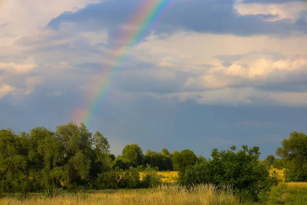 Yağmurdan sonra inanılmaz doğal güzellik. Fırtına bulutlarının arka planında, parlak bir gökkuşağı parlar, gökyüzünü ve yeşil bir alanı birbirine bağlar, peri masalı bir atmosfer yaratır..