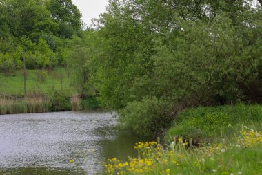 Görüntü, yemyeşil ağaçları ve sarı çiçeklerle parlayan çimlerle dolu pitoresk bir nehir kıyısını gösteriyor. Fotoğraf, doğanın güzelliğini ve sükunetini aktarıyor. Rahatlamak ve dinlenmek için mükemmel..