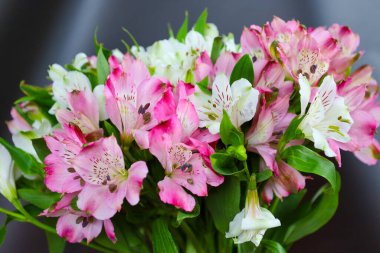 Zarif taç yaprakları ve farklı dokularıyla dikkat çeken etkileyici bir pembe ve beyaz alstromerya buketi. Buket, sevgi ve neşeyi simgeler. Karşılama ya da romantik bir hediye için mükemmel..