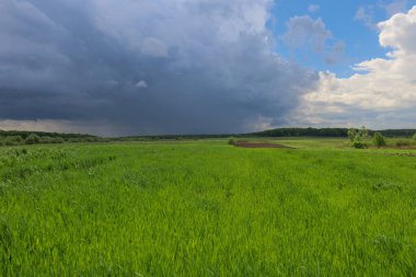 Geniş yeşil bir alanın değişen bir gökyüzü ile buluştuğu, fırtına bulutlarının mavi alana zıt düştüğü bir bahar manzarası. Bu görüntü, bir fırtına öncesi doğanın dinamik güzelliğini gösteren bir sakinlik ve gerginlik hissi veriyor..