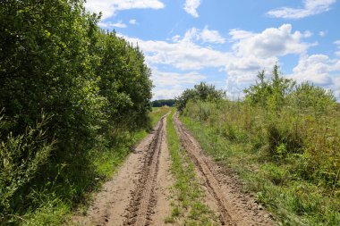 Yoğun yeşil çalılar ve çimlerle çevrili geniş bir arazi yolu, mavi gökyüzünün altında kabarık bulutlarla uzanıyor. Tekerlek izleri alanı daha da derinleştiriyor. Açık alan ve sükunet hissi yaratıyor..