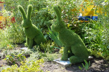 Yeşil çalıların ve bitkilerin arasında bir çiçek tarhında çiçek tezgahından yapılmış iki tavşan heykeli. Şekiller gri kare levhalara konur ve güneş ışığı yeşil çiçek tarlasını aydınlatır..