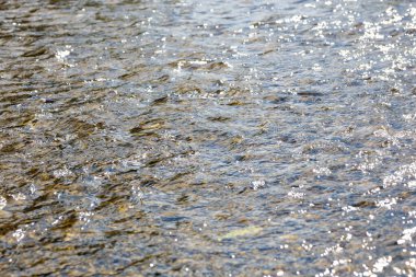 Ilık su ve biraz güneş ışığı. Işıldayan bir desen yaratıyor. Temiz su ince kum üzerinde akıyor ve dipteki küçük taşlar görüntüye huzurlu ve rahat bir atmosfer sağlıyor..