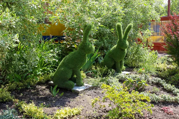 Kesilmiş bir çalıdan yapılmış iki dekoratif tavşan figürü, çeşitli bitki ve yeşilliklerin arasında bir bahçede duruyor. Ağaç tavşanları güneşli bir yaz gününde bahçe süslemesidir..