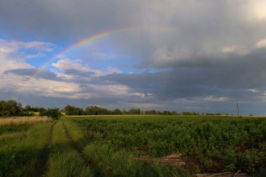 Yazın yağan yağmurdan sonra sonsuz yeşil tarlaların üzerinde parlak bir gökkuşağının belirdiği sihirli bir manzara. Yavaş yavaş azalan gri fırtına bulutları ve geri dönen parlak mavi gökyüzü ile inanılmaz bir tezat yaratır..