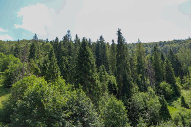 Parlak güneş dağ yamaçlarını kaplayan sık ormanların tepelerini aydınlatır. Bu pitoresk yer, doğayla tam bir uyum ve huzur veriyor..