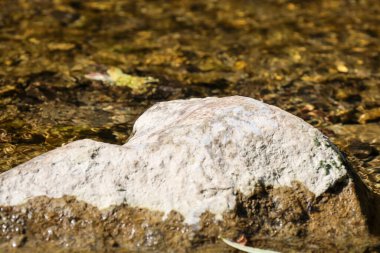 Açık renkli büyük bir taş, kısmen berrak suya batırılmış, bulanık nehir yatağına karşı duruyor. Taşın ıslak yüzeyi ve suyun yansımaları onun dokusunu ve doğal güzelliğini vurgular..