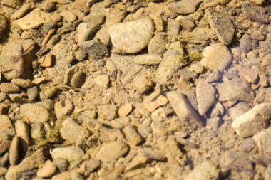 Yakın çekim, üzerinde birkaç küçük balığın yüzdüğü kum ve renkli taşlarla kaplı bir nehrin dibini gösteriyor..