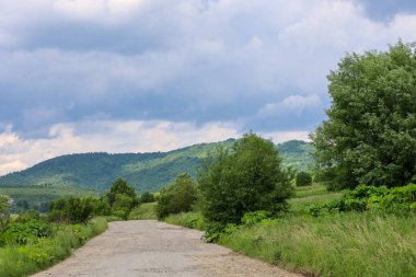 Taştan bir yol, bulutlu ve kasvetli bir gökyüzüne kurulmuş ormanla kaplı yeşil tepelere çıkar. Bu manzara bir seyahat ve yalnızlık hissi veriyor. Huzurlu bir yürüyüşe davet ediyor..