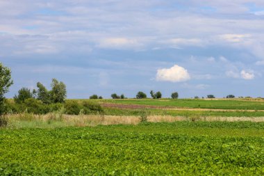 Çeşitli renk ve bitkilerden oluşan geniş tarım alanları geniş bulutlu bir gökyüzünün altında uzanıyor..