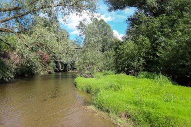 Sığ bir nehir canlı yeşil çimenler ve yemyeşil ağaçlarla kaplı bir bankayı sorunsuzca geçer. Güneşli bir gün ve beyaz bulutlu mavi gökyüzü doğada bir yaz kaçamağının sakin ve pitoresk atmosferini yaratır..