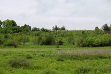 Yumuşak yeşil bir manzara ön planda, çalılar ve ağaçlarla kaplı bir tepeye dönüşen bir ovaya sahiptir. Bulutlu, bulutlu bir gökyüzünün atmosferi sakin ama biraz da bastırılmış vahşi doğa hissi yaratır..