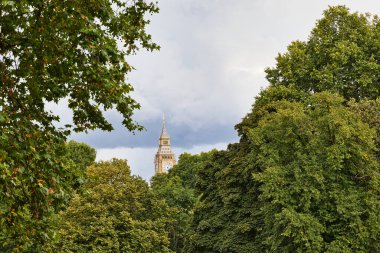Big Ben saat kulesi, Londra, İngiltere 'de bulutlu ve bulutlu bir gökyüzünün altında yoğun yeşil yaprakların arasından bakıyor..