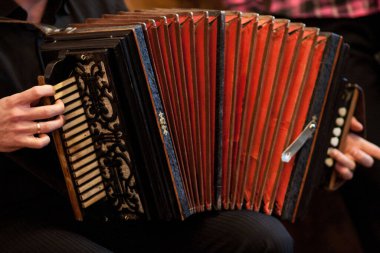 İnsanoğlunun ellerindeki uyum