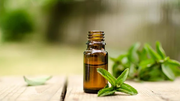 Natural Mint Essential Oil Glass Bottle Fresh Mint Leaves — Stock Photo, Image