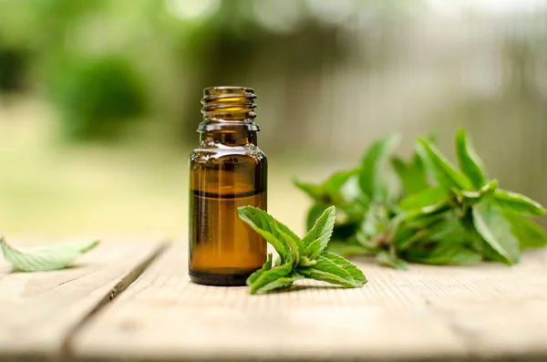 Natural Mint Essential Oil Glass Bottle Fresh Mint Leaves — Stock Photo, Image