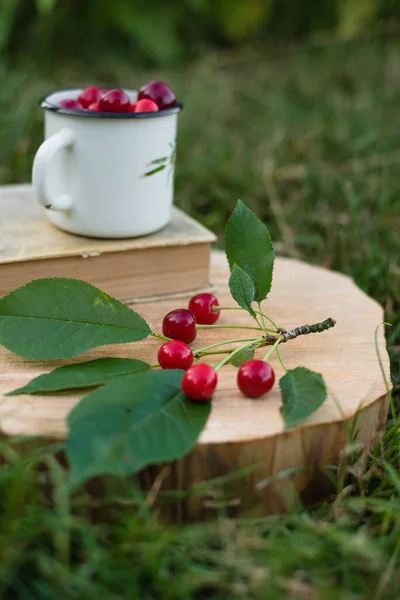 a cup with cherries, an old book, a summer straw hat on a background of green grass in the garden. Summer concept