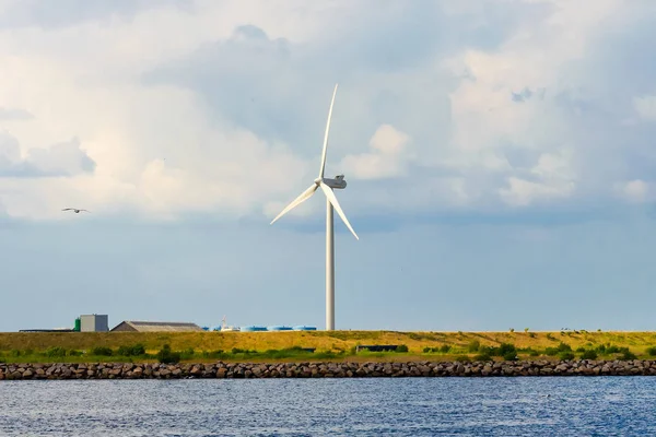 Rüzgar türbinleri, güneşli yaz günü. Mavi gökyüzü. Ekolojik enerji. Danimarka. Baltık Denizi