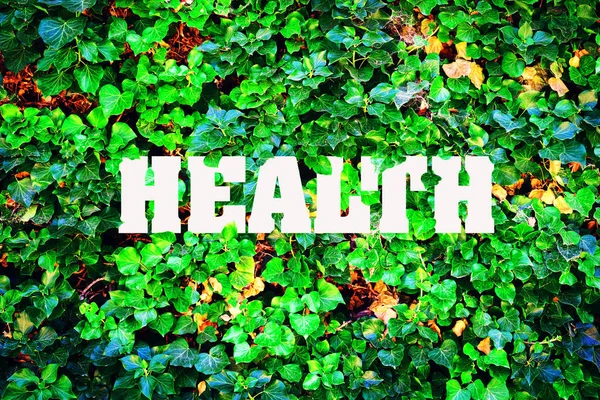 Επιγραφή Υγεία Φόντο Πράσινο Φύλλα Έννοια Της Καθαρής Φύσης Υγιεινός — Φωτογραφία Αρχείου