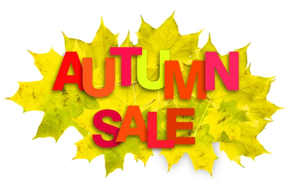 Multicolored inscription Autumn sale on a background of autumn leaves on a white background. Isolated. Business sales. Autumn background.