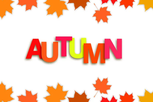 Podzimní Pozadí Pestrobarevným Listím Bílé Pozadí Kopírovat Prostor — Stock fotografie