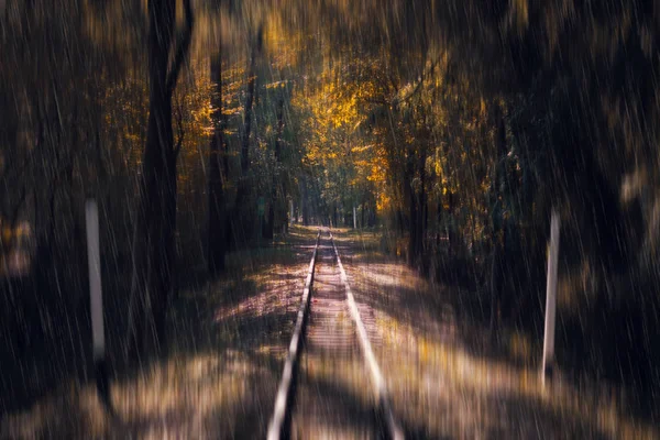 Eisenbahnfahrt in den Herbstwald. Regen. Herbsthintergrund. Jahreszeiten. — Stockfoto