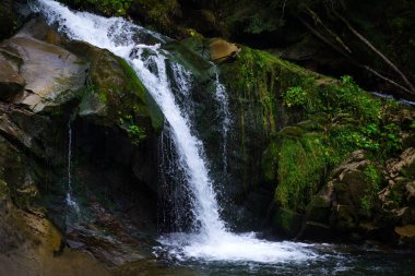 Güzel dağ şelale kayalar ve iğne yapraklı orman arasında. Ukrayna, Karpat Dağları.