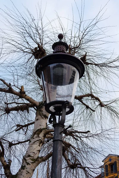 Beautiful old street lamp on the background of tree branches. Architecture.