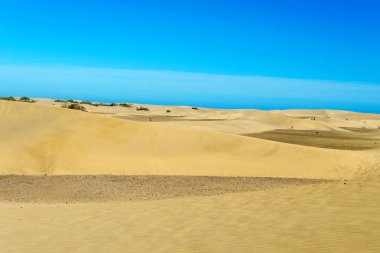 Mavi gökyüzü güzel sarı kum tepeleri. Doğal arka plan. Seyahatler.
