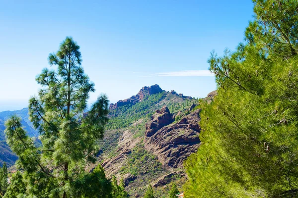 Dağların güzel manzara. Grand Canaria. İspanya. Seyahat eder. Geri kalan. — Stok fotoğraf