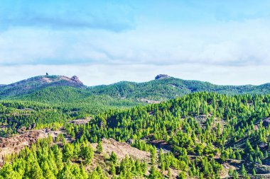 Dağların güzel manzara. Grand Canaria. İspanya. Seyahat eder. Geri kalan.
