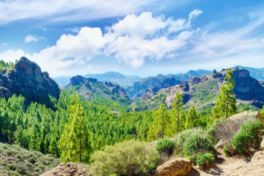 Dağların güzel manzara. Grand Canaria. İspanya. Seyahat eder. Geri kalan.